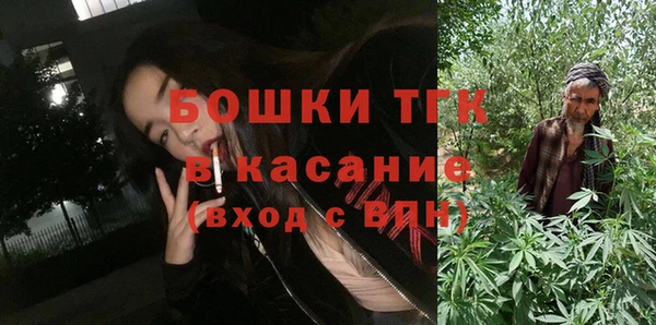 дмт Алексин