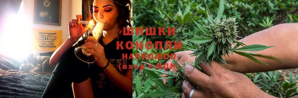 соль ск Алзамай